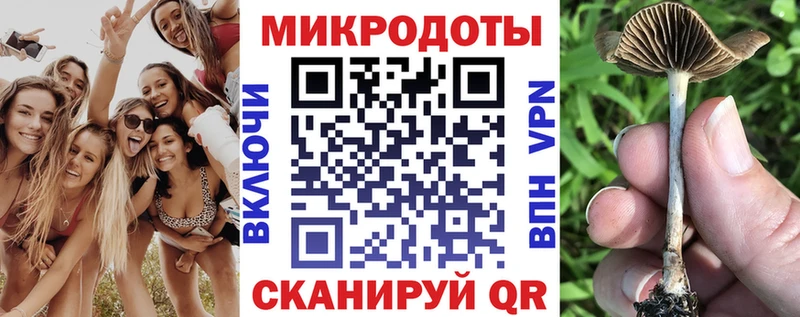 купить наркотики цена Малмыж Псилоцибиновые грибы Magic Shrooms