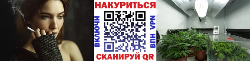 Конопля AK-47 сколько стоит Малмыж